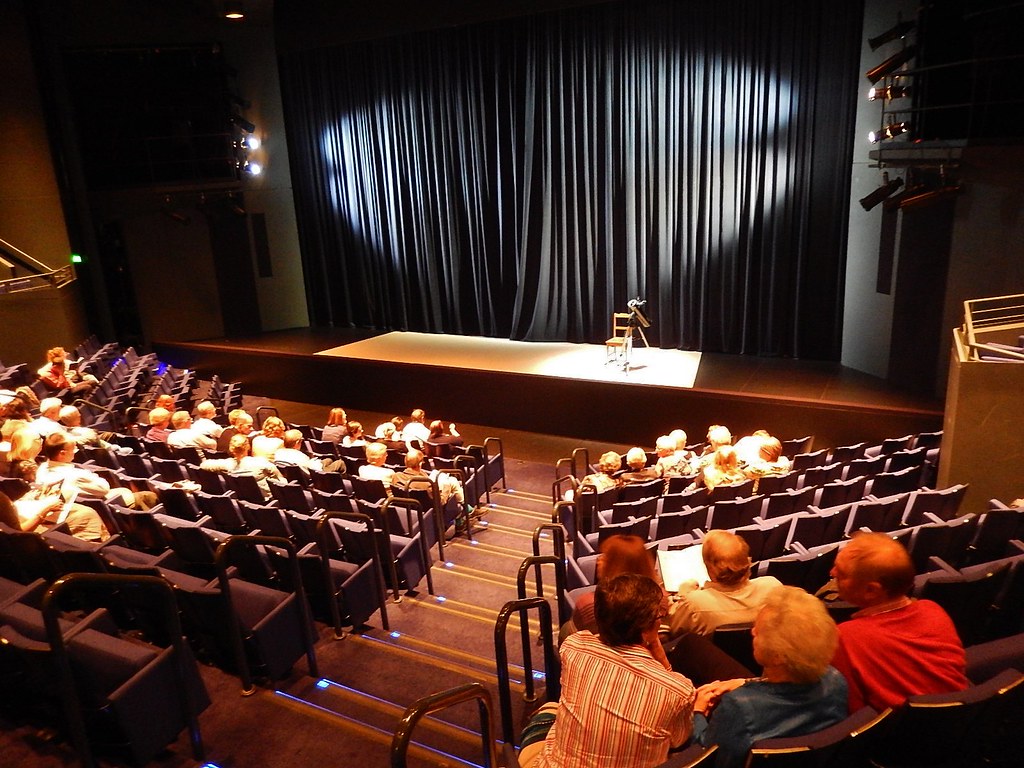 Audience seated in a theatre before a live performance